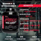 6 - Muscle Performance Anabolic Mass Gainer, 5.5 lb Belgium Chocolate