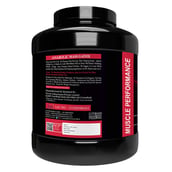 3 - Muscle Performance Anabolic Mass Gainer, 5.5 lb Belgium Chocolate with Steel Shaker