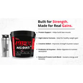 2 - Muscle Performance Anabolic Mass Gainer,  11 lb  Creamy Vanilla with Steel Shaker 