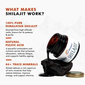 4 - Dr. Morepen Shilajit Resin Form, 15 g
