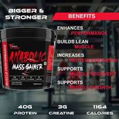 5 - Muscle Performance Anabolic Mass Gainer with Creatine Monohydrate 0.66 lbs & Gym Bag Combo, 11 lb Creamy Vanilla
