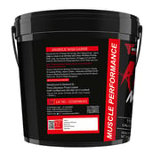 2 - Muscle Performance Anabolic Mass Gainer with Creatine Monohydrate 0.66 lbs & Gym Bag Combo, 11 lb Belgium Chocolate
