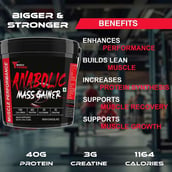 5 - Muscle Performance Anabolic Mass Gainer with Creatine Monohydrate 0.66 lbs & Gym Bag Combo, 11 lb Irish Chocolate