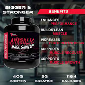 4 - Muscle Performance Anabolic Mass Gainer with Creatine Monohydrate 0.66 lbs & Gym Bag Combo, 5.5 lb Belgium Chocolate
