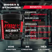7 - Muscle Performance Anabolic Mass Gainer with Gym Bag Combo, 11 lb Belgium Chocolate