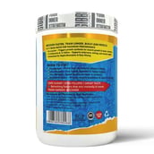 1 - Gibbon Nutrition Focus BCAA 4:1:1, 0.88 lb 26 Servings Pinacolada
