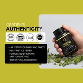 3 - PRIME VITA Tribulus Hardcore 500mg, 60 capsules