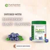 3 - Pure Nutrition Pure Plant Protein,  500 g  Blueberry Blast 