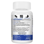 2 - NutriJa MSM 1000mg, 60 capsules