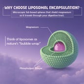 13 - BeastLife Liposomal Triple Magnesium+, Unflavoured 30 capsules