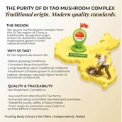 6 - Rooted Active Naturals Mushroom Complex, 60 g