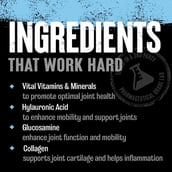 2 - Universal Nutrition Animal Greens Pill Packs, 30 Piece(s)/Pack