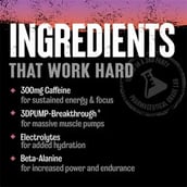 2 - Universal Nutrition Animal Primal Preworkout,  1.04 lb  Peach Lavender Lemonade 
