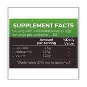 supplement - Nutrition Planet BCAA, 0.76 lb Green Apple
