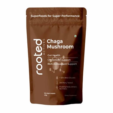 Rooted Active Naturals Chaga Organic Mushroom Extract, 60 g