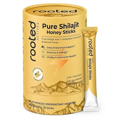 Rooted Active Naturals Shilajit Honey Sticks with Cordyceps, 30 Stick(s)